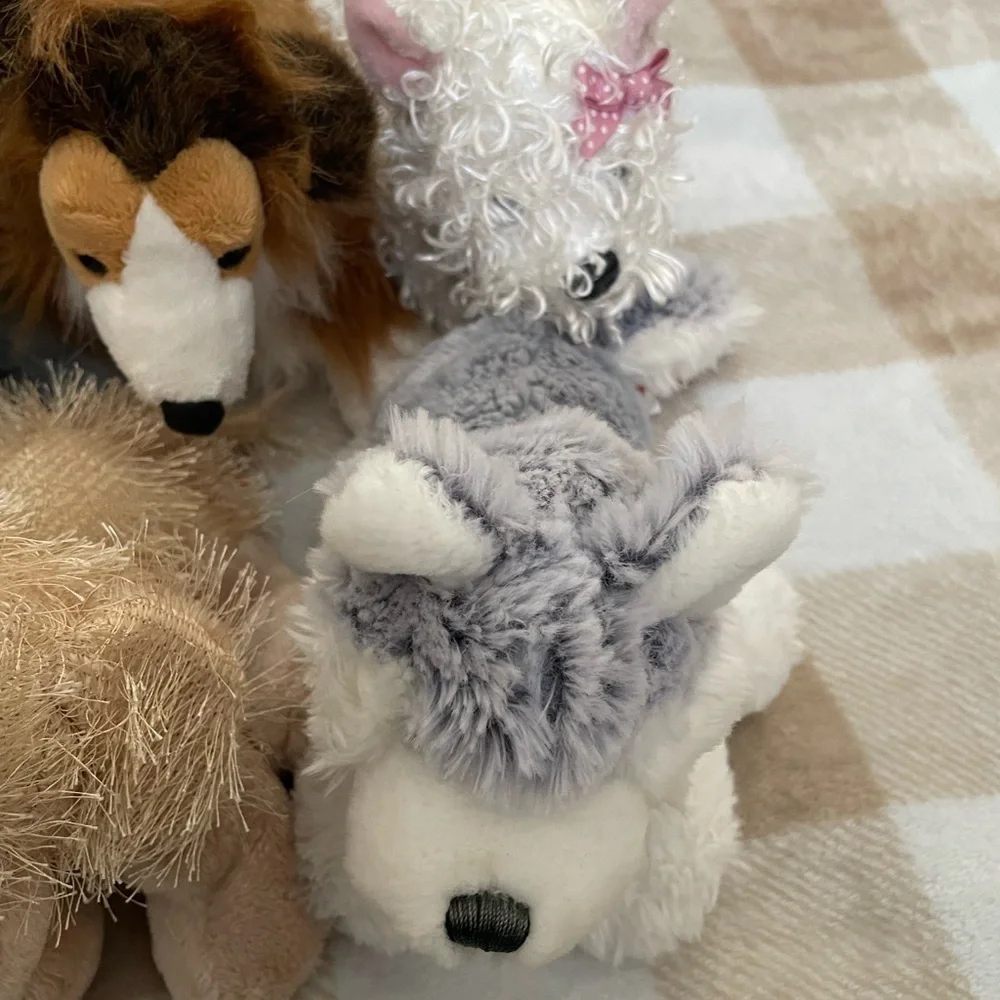 Lot of 11 Webkinz toys, Cats, Dogs, Racoon, and Monkey. Only the frog has a code